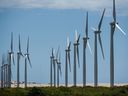 Éoliennes le long de la côte au Brésil.