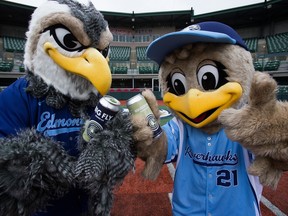 Les mascottes des Riverhawks, River et Kid, posent dans le champ intérieur de Remax Field, tenant des canettes de bière.