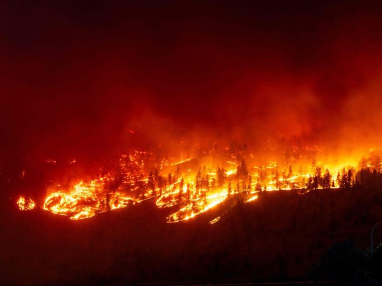 Matthew Lau : Comment gagner de l’argent avec l’anxiété climatique