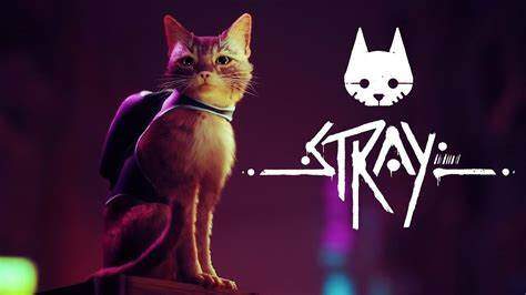 Revue de la série Stray Xbox - GamesReviews.com