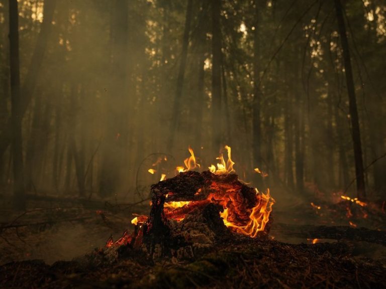 De fortes pluies aident à éteindre les incendies de forêt dans l’Okanagan, alors que la destruction devient plus claire