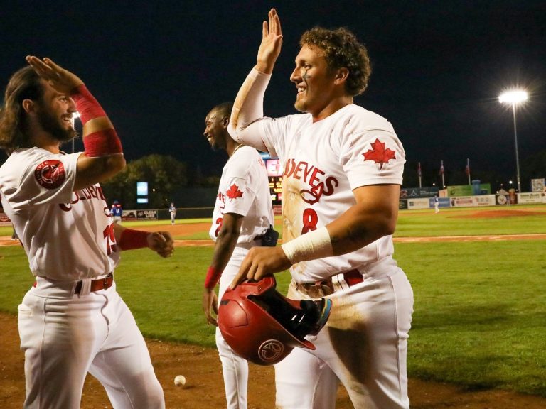 Les Goldeyes ont un sixième sens pour avaler les Canaries