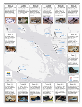 Carte des pieds