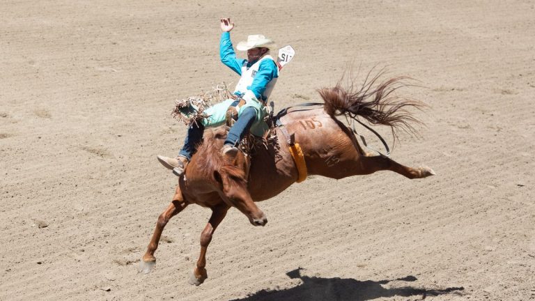 Comment regarder Run for a Million en ligne: diffusez en direct le rodéo de reining de chevaux 2023 de n’importe où