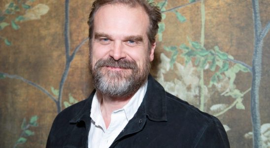 NEW YORK, NEW YORK - JUNE 08: David Harbour attends the 'Downtown Owl' Tribeca Festival Premiere After Party hosted by Casamigos at The Chelsea Hotel on June 08, 2023 in New York City. (Photo by Santiago Felipe/Getty Images)