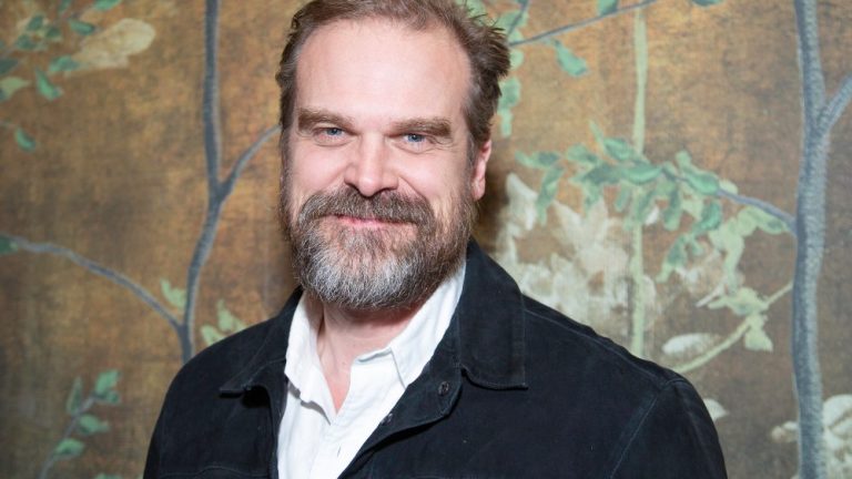 NEW YORK, NEW YORK - JUNE 08: David Harbour attends the 'Downtown Owl' Tribeca Festival Premiere After Party hosted by Casamigos at The Chelsea Hotel on June 08, 2023 in New York City. (Photo by Santiago Felipe/Getty Images)