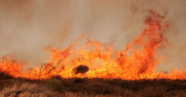 La Californie déploie l’IA pour détecter les incendies de forêt avant qu’ils ne commencent à se propager