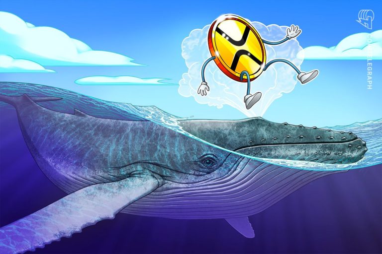 La baleine XRP déplace 29 millions de jetons vers Bitstamp au milieu de la baisse des prix