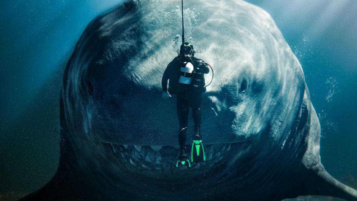 L'auteur de The Meg, Steve Alten, choisit le film le plus fidèle à ses livres
