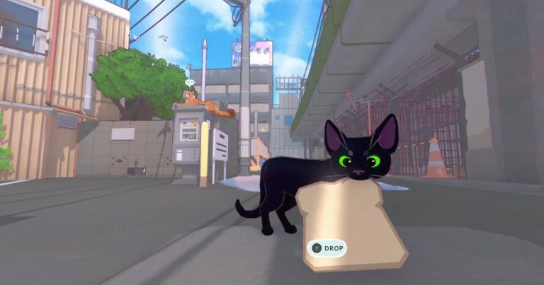 Le jeu de chat douillet qui s’est échappé de Valve