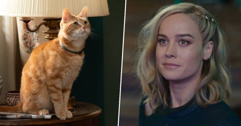 Les scènes de Goose dans The Marvels ont été filmées avec la doublure cascadeuse de Brie Larson – parce qu’elle est allergique aux chats