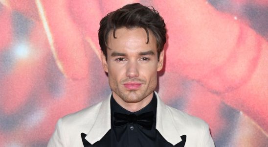 Liam Payne des One Direction reporte sa tournée en raison de problèmes de santé