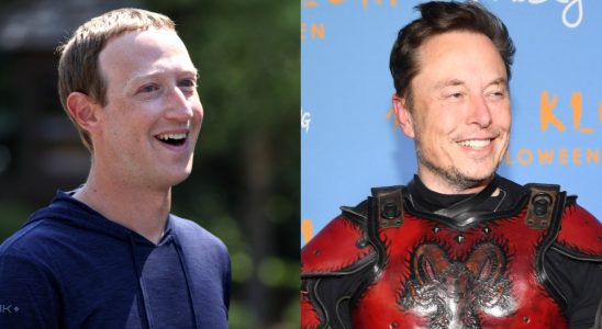 Musk Zuckerberg MMA Cage Match