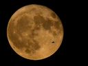 Un avion de ligne commercial vole vers le nord-ouest à travers le lac Michigan en face de la 