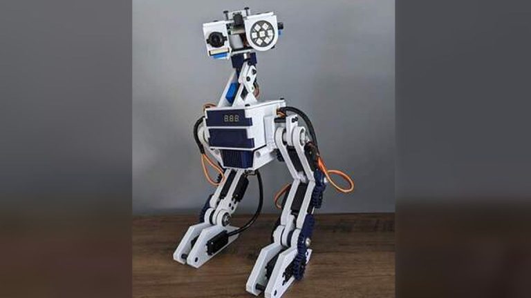 Raspberry Pi alimente un robot compagnon amical