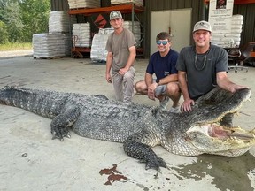 La grosse prise.  Photo du Département de la faune, des pêcheries et des parcs du Mississippi