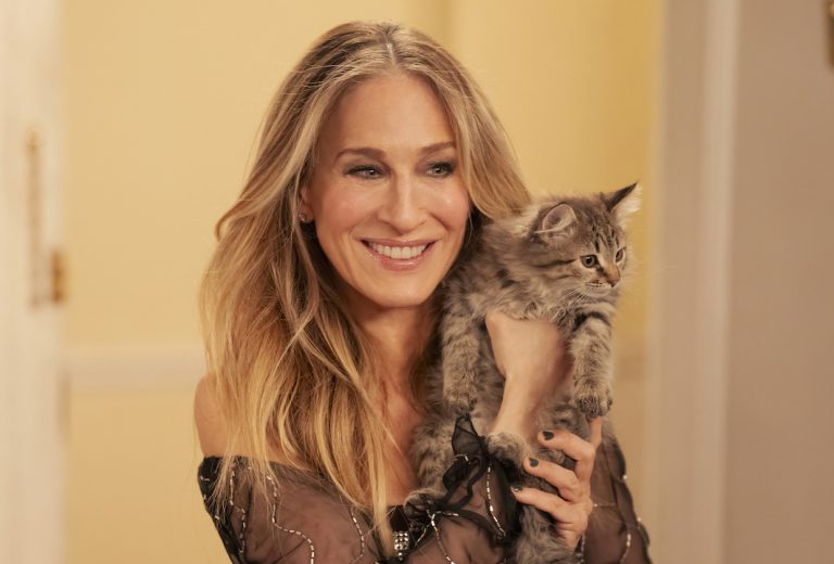 Sarah Jessica Parker adoptée – Photos de chaussures – TVLine