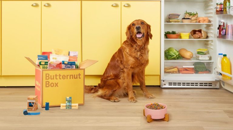 Butternut Box engloutit 354 millions de dollars pour la cuisine canine par abonnement