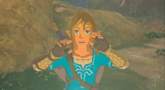 Une nouvelle interview avec le patron de Zelda suggère qu'il n'y a aucun plan pour le DLC TOTK