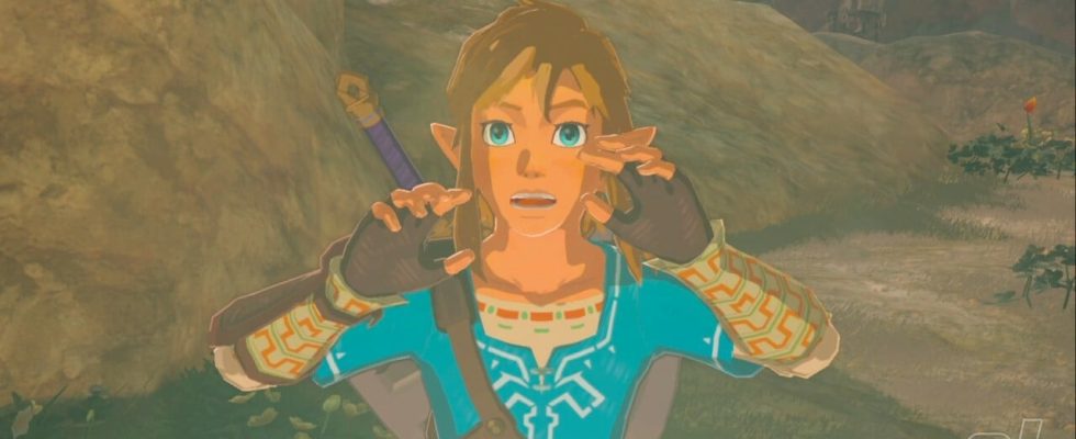 Une nouvelle interview avec le patron de Zelda suggère qu'il n'y a aucun plan pour le DLC TOTK