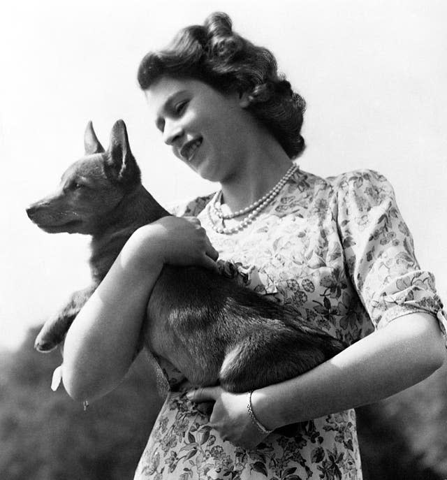 Royauté – Princesse Elizabeth et corgi