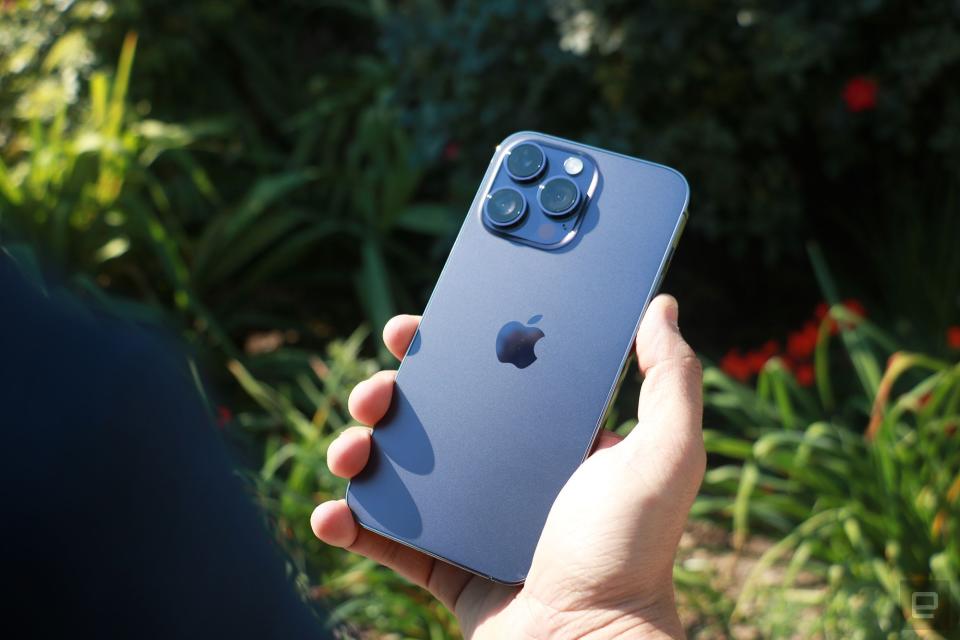 Revoir la photographie de l’iPhone 14 Pro.  Il se trouve dans la main droite d'une personne, le dos du téléphone face à la caméra.  La verdure de l'ouest des États-Unis est floue en arrière-plan.