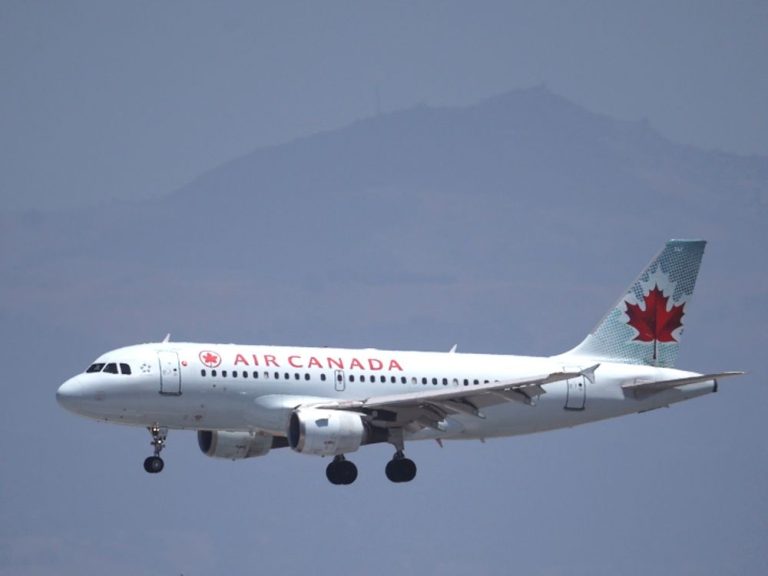 « Vous êtes des animaux » : dans les pensées d’Air Canada