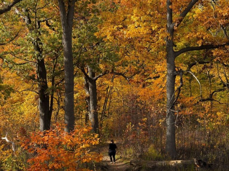 Météo Météo prévoit un « automne inconstant » au Canada avec un début de saison froid et une fin douce