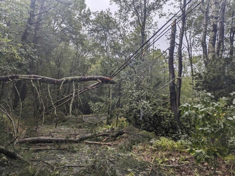 Veille d’ouragan émise pour le sud-ouest de la Nouvelle-Écosse et le sud du Nouveau-Brunswick