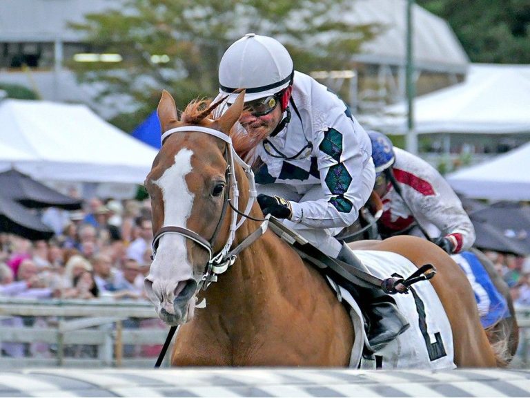 Hippodrome de Hastings : le favori des fans, Ace Deuce, semble heureux de continuer à courir