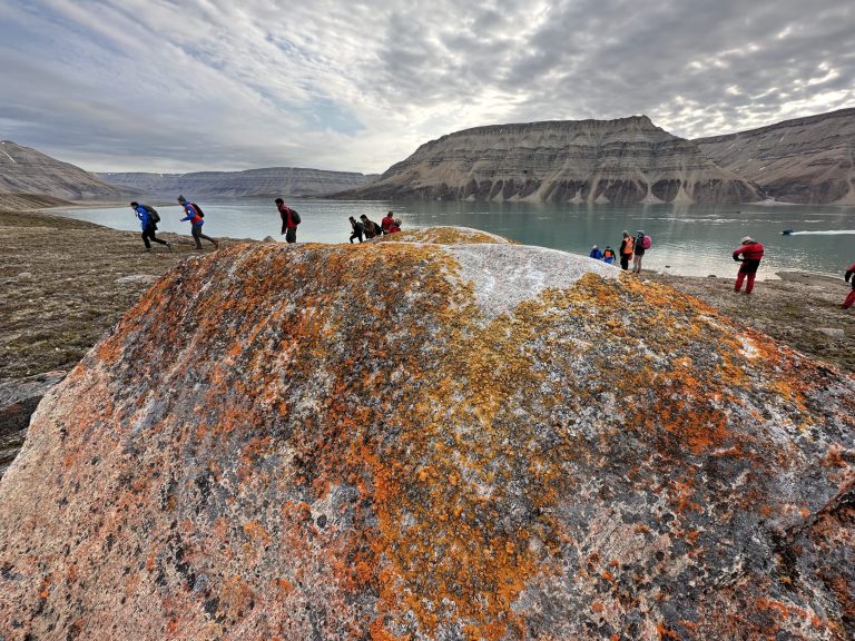 ARCTIC HIGH : ours, baleines et paysages impressionnants au sommet du monde