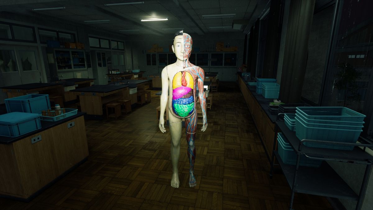 An anatomy mannequin in a darkened schoolroom