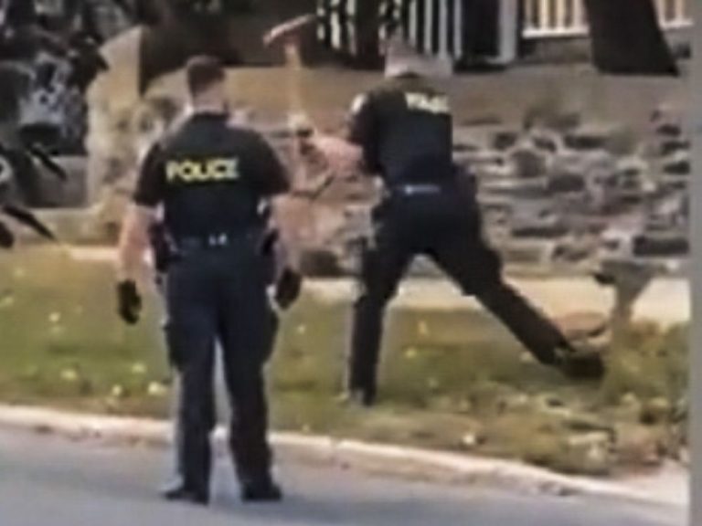 La Police provinciale de l’Ontario « prend l’affaire au sérieux » après qu’une vidéo montre des policiers frappant des cerfs avec une hache