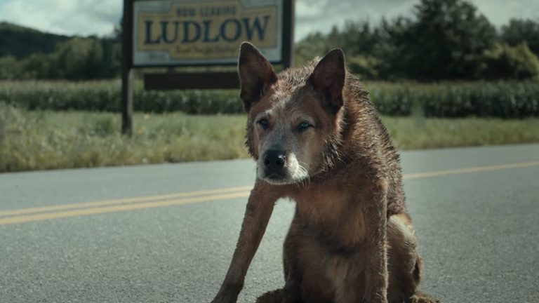 La bande-annonce de The Pet Sematary : Bloodlines vous ramène à l'histoire la plus effrayante de Stephen King
