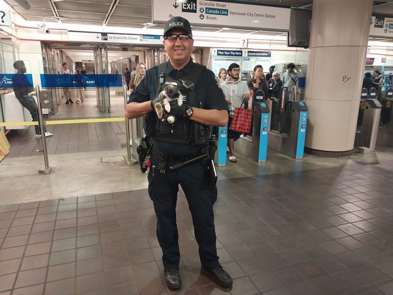 La police rend le lapin de soutien émotionnel qui s’est échappé dans la station SkyTrain de Vancouver