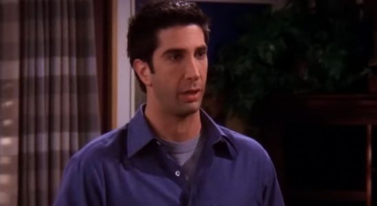 David Schwimmer as Ross Geller on Friends.