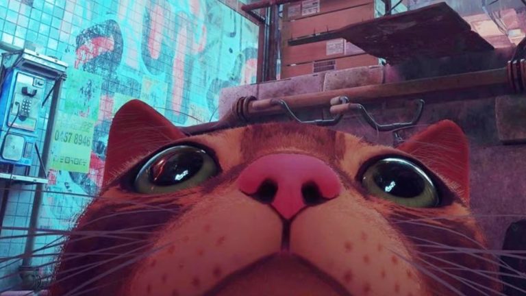 L'impressionnante aventure du jeu vidéo Kitty Cyberpunk Stray devient un film d'animation
