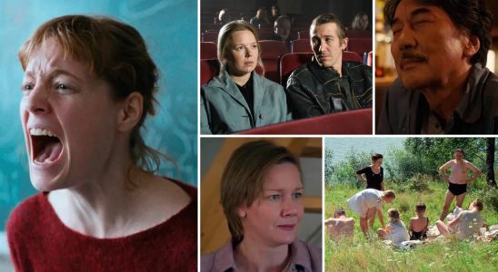 2024 Oscars Best International Feature Predictions