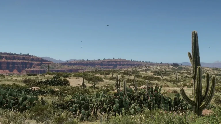 Red Dead Redemption 2: a stunning vista of a cactus-heavy desert, bathed in sunlight.