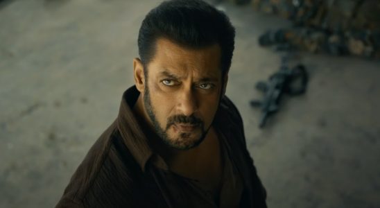 Salman Khan Tiger 3