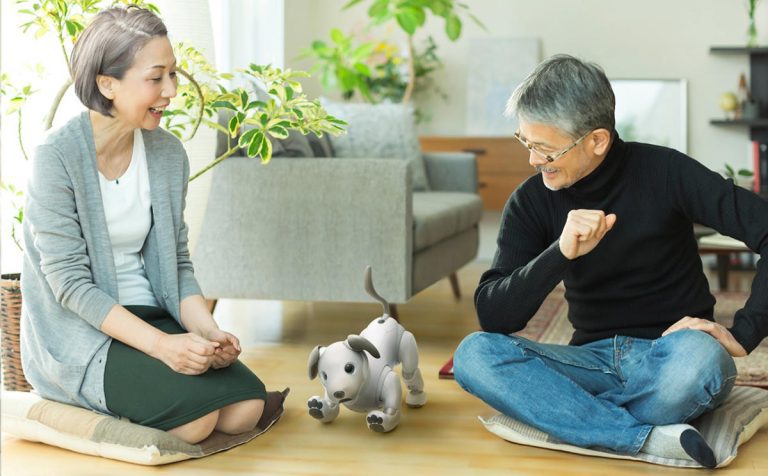 Sony va réparer les chiens robots Aibo vieillissants pour les aider à retrouver leur foyer permanent