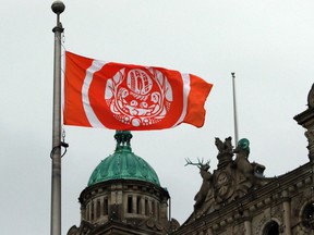 Le drapeau des survivants