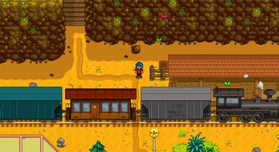 Stardew Valley: a train going past the player.