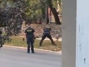 Les normes professionnelles de la Police provinciale de l'Ontario enquêtent sur un incident survenu à Kenora, en Ontario, où un agent a été filmé en train de frapper apparemment un cerf avec une hache.