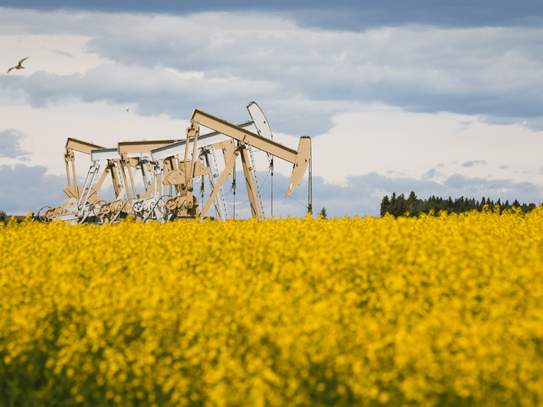 L’économie canadienne se remettra sur pied l’année prochaine, selon Deloitte Canada