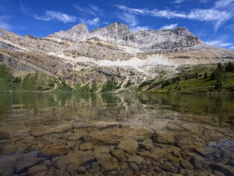 Deux morts dans une attaque d’ours dans le parc national Banff et un grizzli euthanasié