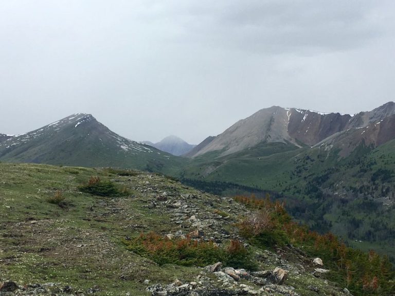 Un couple et leur chien tués par un ours dans le parc national Banff ont vécu une expérience en plein air : un ami