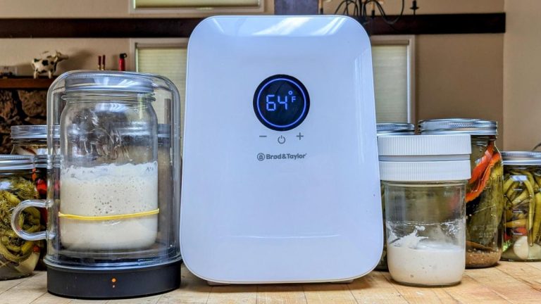 Trois gadgets de cuisine pour éliminer les incertitudes concernant le levain