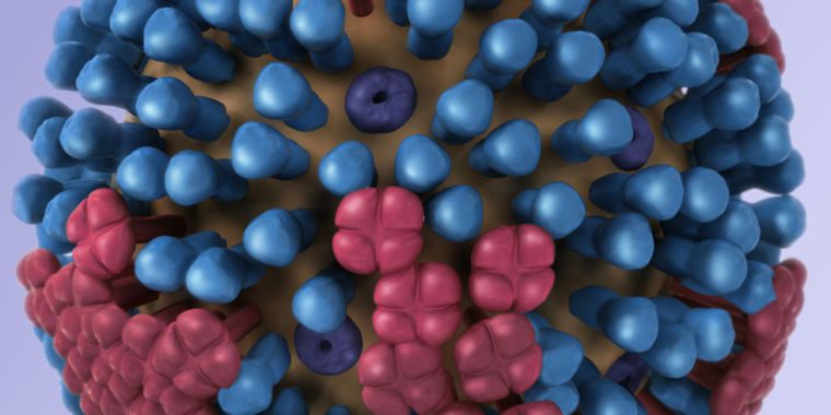 Après que le COVID ait tué une souche de grippe, les vaccins annuels contre la grippe vont être repensés