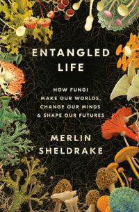 Couverture du livre Entangled Life de Merlin Sheldrake